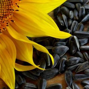 Sunflower Seed Oil 250ml