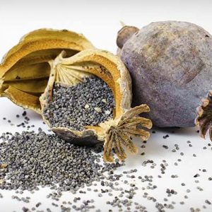 Poppy Seeds 100g